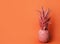 Coral painted pineapple on orange background