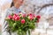 Coral peonies in a glass vase. The woman holds in her hands. Beautiful fresh cut bouquet, the work of the florist at a