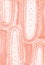 Coral Pink Abstract Background. Raster hand painted illustration. Ornate artistic design element