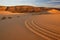 Coral Pink Sand Dunes 1