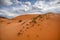 Coral Pink Sand Dunes near Zion National Park Utah