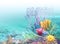 Coral Reef Background