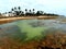 Coral Reef, Bahia Brazil