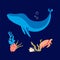 Coral reef and blue whale