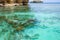 Coral reef close up in the turquoise transparent water of tropical sea. Uncontaminated environment in the Togian Islands or Togean