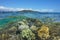 Coral reef Grande Terre Noumea New Caledonia
