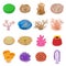 Coral reef icons set, isometric style