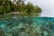 Coral Reef and Remote Tropical Island