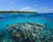 Coral reef tropical island seascape Pacific ocean