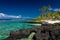 Coral reef on Upolu, Samoa Islands.