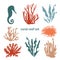 Coral reef vector set: seahorse, corals, seaweed, illustrations with ragged edges