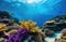 coral reef, vivid underwater photography, colorful fish, ocean floor, sea diving, sponges and corals