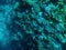 Coral reefs at the bottom of the Red Sea under water in Sharm El Sheikh Egypt. Colorful green-blue-turquoise aqua background,