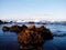 Coral reefs in the shore hitting by wave