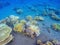 Coral relief in tropical seashore bottom. Undersea landscape photo. Fauna and flora of tropical shore.