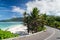 Coral sandy beach among the palm trees along the road. Seychelles.