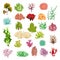 Coral and seaweed. Underwater flora, sea water seaweeds aquarium game kelp and corals. Ocean plants vector set