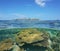 Coral underwater split Canard islet New Caledonia