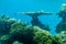 Coral world, Underwater Observatory in Eilat