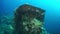 Corals on battle gun of sunken ship wreck in underwater Truk Islands.