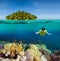 Corals, diver and palm island