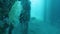 Corals and feather star crinoids on underside ocean pier and a diver swimming.