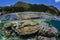 Corals Growing in Remote Lagoon