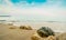 Corals on sand beach by the sea with blue sky and white clouds. Summer vacation on tropical paradise beach concept. Ripple