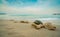 Corals on sand beach by the sea with blue sky and white clouds. Summer vacation on tropical paradise beach concept. Ripple