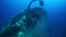 Corals on ship wreck in underwater Truk Islands.