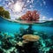 Corals in Solomon Islands