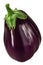 Cordate aubergine or eggplant Solanum  melongena fruit isolated