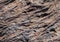 Corded lava close-up in Teide National Park