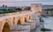 Cordoba - The Roman bridge and Torre de Calahorra