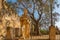 Cordoba, Spain - January 9, 2020: Stone statue of a medieval knight king in Alcazar de los Reyes Cristianos, Andalusia