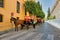 Cordoba, Spain - September 02, 2015: The horse cart carriage for tourists located in spanish region of Andalusia