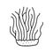 cordyceps mushroom line icon vector illustration