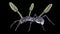 Cordyceps parasitic fungus growing on an ant, 3D illustration