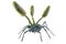 Cordyceps parasitic fungus growing on an ant, 3D illustration