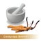 Cordyceps Sinensis. Traditional chinese herbs, Is a mushroom that using for medicine and food famous in Asian.