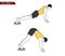 Core slider exercise vector illustration