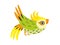 Corella Parrot, Tropical Bird with Colored Feathers and Wings Vector Illustration