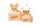 Corgi dog and cat in a box, Pet adoption, Help homeless animals find