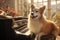 corgi dog charmingly playing white piano in bright sunlit room on a beautiful sunny day