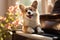 corgi dog charmingly playing white piano in bright sunlit room on a beautiful sunny day