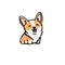 Corgi dog Cute welsh corgi vector cartoon illustration isolated on white background. Funny corgi butt modern flat design