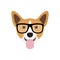 Corgi Dog in fashions glasses. Funny dog icon.