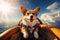 A corgi dog is flying in a plane under the clouds