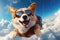 A corgi dog jumps with a parachute