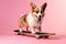 Corgi dog posing on a lskateoard in front of a pink background. AI generative studio shot